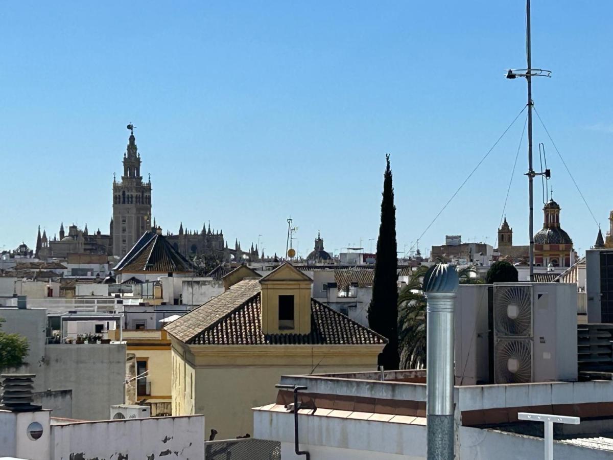 Hispalis Setas De Sevilla — Photos 3